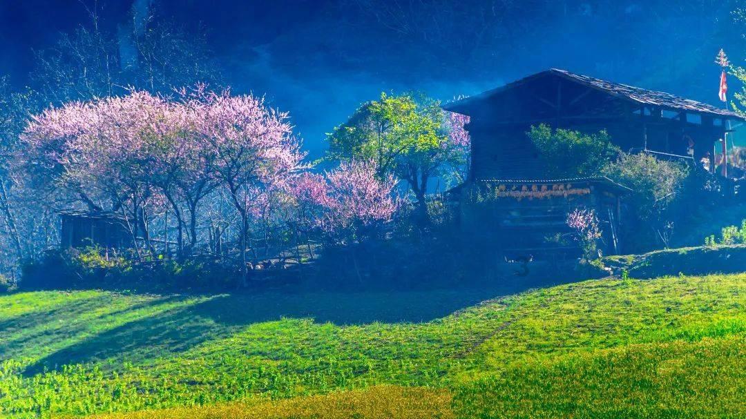 重庆将纵深推进成渝地区双城经济圈建设 合力打造带动全国高质量发展的重要增长极