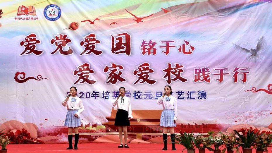 寻找奈良树花